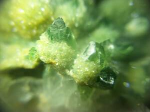 外国産鉱物　グリーンクォーツ　クラスター　緑水晶　再結晶　美しい標本　定型外発送　