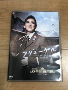 宝塚歌劇団　月組　フリューゲル　万華鏡百景色　DVD 