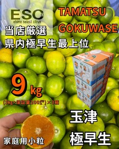 fm ESC愛媛県玉津産極早生みかん小粒家庭用当店最上位希少9㎏（（3kg+保証量200㌘）×3箱）　みきゃん箱②