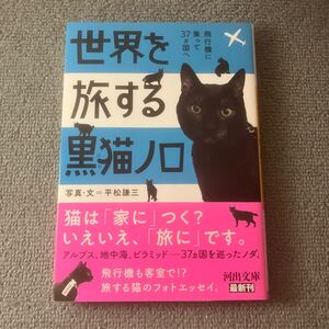 世界を旅する黒猫ノロ　飛行機に乗って３７カ国へ （河出文庫　ひ１４－１） 平松謙三／著