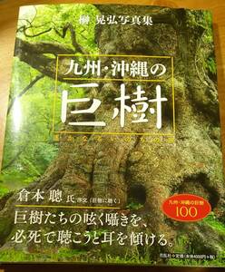 写真集「九州・沖縄の巨樹:遥かなるいのちの旅 / 榊 晃弘」 巨木