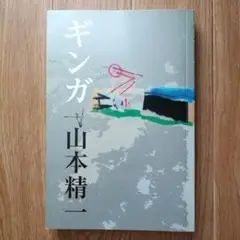 【中古本】山本精一「ギンガ 増強版」ボアダムス 羅針盤 想い出波止場 ROVO