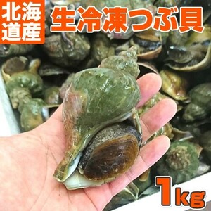 青つぶ 1kg 8～12個前後 ツブ貝 つぶ貝 青ツブ ギフト つぶ プレゼント 贈答 貝付きツブ 貝付きつぶ 貝類 貝 敬老の日 敬老ギフト 食欲の秋