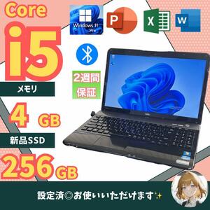 格安！ マイクロソフトオフィス付き NEC LS550ES1YB メモリ4GB SSD256GB