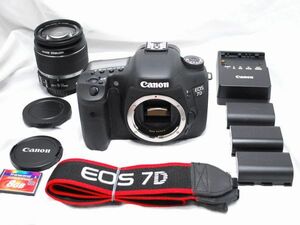 【超美品・豪華セット】Canon キヤノン EOS 7D EF-S 18-55mm IS Ⅱ
