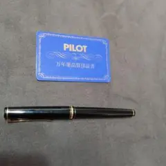 pilot elabo　万年筆