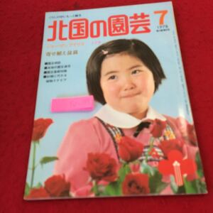 YU-184 北国の園芸 1978年発行 7月号 ジャーマンアイリス バラ 寄せ植え盆栽 札幌らいらっく書房 園芸相談 各地の園芸通信 基礎知識 