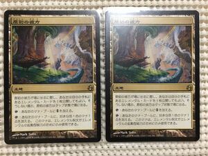 2枚セット☆ MTG 日本語版 原初の彼方 / Primal Beyond モーニングタイド MOR レア土地