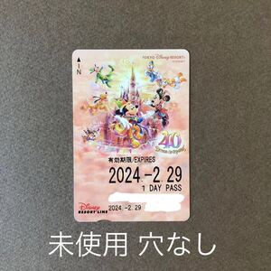 【穴なし 未使用】40周年 Dream Go round シンデレラ城 ビッグ8 2024/2/29 閏日 ディズニー リゾートライン フリーきっぷ/切符 TDR