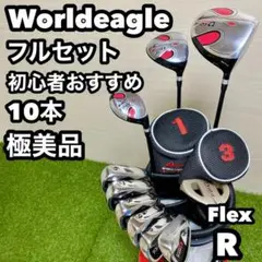 Worldeagle ゴルフ　メンズフルセット　10本　R 初心者　初めて　簡単