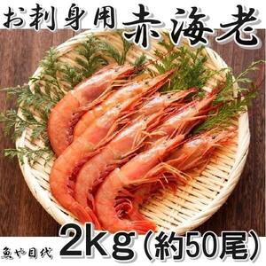 赤海老 生食用 ２ｋｇ （約５０尾） 　発送休業あり 送料は説明文で確認を