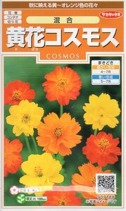 ★注意★発芽有効期限切★　◆コスモス◆　【黄花コスモス混合】