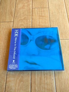 帯付き 廃盤 アイス ウィア・イン・ザ・ムード ICE We