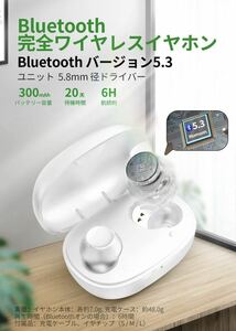 bluetooth5.3 ワイヤレスイヤホン 小型/軽量 イヤホン Bluetooth HiFi ブルートゥース AAC対応 Siri対応