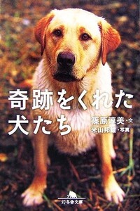 奇跡をくれた犬たち 幻冬舎文庫/篠原淳美【文】,米山邦雄【写真】