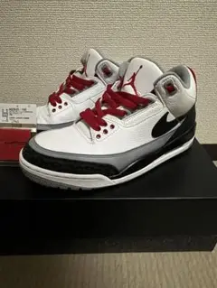 Nike Air Jordan 3 Retro Tinker Hatfield