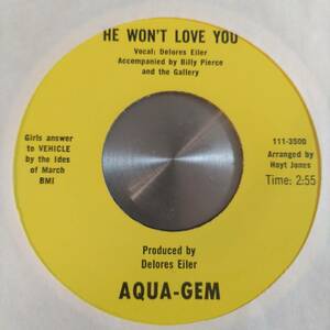 ◆即決◆VERY RARE◆FUNK CROSSOVER NORTHERN SOUL◆◆AQUA-GEM(DELORES EILER)◆◆◆HE WON