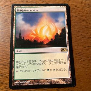 【送料無料】MTG 陽花弁の木立　レア　1枚