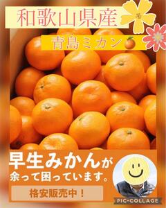 ☆限定破格☆和歌山県産ゆらみかん蜜柑1.5キロ～２キロ箱☆由良ミカン☆★