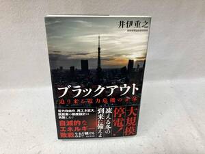 ブラックアウト 井伊重之