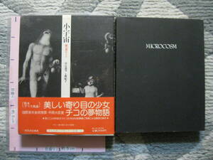 小宇宙 鏡の淵のアリス 中野嘉男・上野紀子/著 瀧口修造/序 1974/12/25発行 河出書房新社 (ビニールカバー・帯・外箱付/イラスト画集)