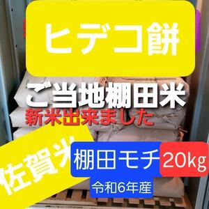 令和6年産棚田で育てたヒデコ餅20㎏白米