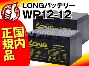 新品★WP12-12 2個セット★UPS交換用バッテリーAPC[SU1000J/SUA1000J対応]