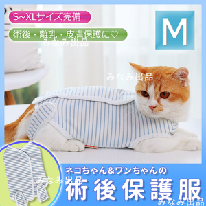 【M】猫 犬 術後服 ウェア 離乳 避妊手術 皮膚保護 傷口 エリザべスカラー　ｍ