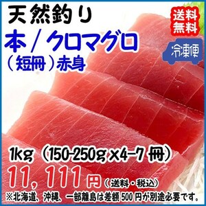 天然 本マグロ 赤身 150-250g×4-7冊＝1kg分 冷凍 料亭 寿司屋 ご用達 真空パック 送料無料 宇和海の幸問屋