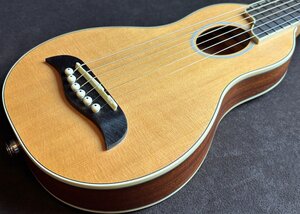 Washburn ワッシュバーン Rover RO10SEK-A アコースティックギター