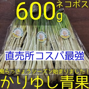 〈直売所コスパ最強〉沖縄県産Ｋおばーの島らっきょう 約600g【ネコポス】①