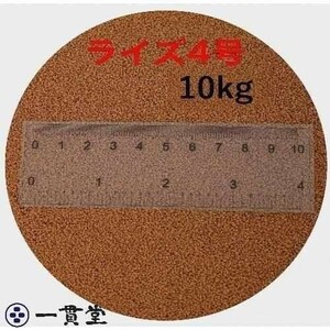 日清丸紅飼料ライズ4号 10kg(2kg×5袋） (粒径0.58～0.84mm) メダカ めだか エサ 餌 おとひめ ハイグロウ リッチ 送料無料 直送　 100019