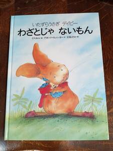 いたずらうさぎデイビー わざとじゃないもん　ブリギッテ ヴェニンガー（作）イブ タルレ（絵）立原 えりか（訳）講談社　[aaa47]