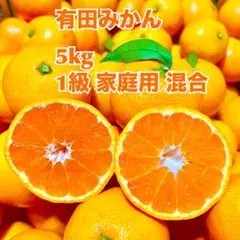 有田みかん　箱込み　5kg 1級　家庭用混合　2S～2L