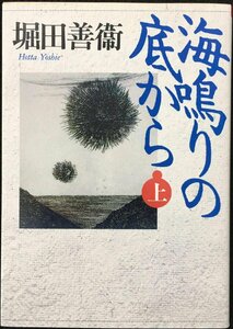 海鳴りの底から 上 (朝日文庫 ほ 7-1)