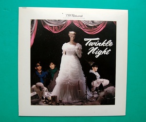 ２LP　TM NETWORK　「TWINKLE NIGHT」　　一世風靡セピア　「道に落ちていた男」