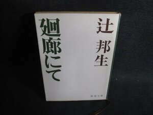 廻廊にて　辻邦生　日焼け強/SDZF