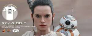 1/6 ホットトイズ トイサピエンス限定 SW Episode7 フォースの覚醒 レイ＆BB-8 公式グッズ付き