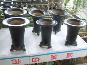 日本春蘭　　黒楽鉢　　4.5寸から5.0寸　　6個　　E