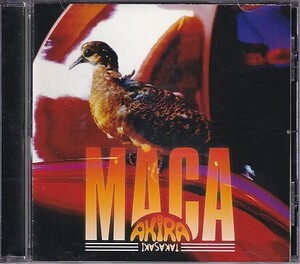 CD 高崎晃 MACA マカ LOUDNESS