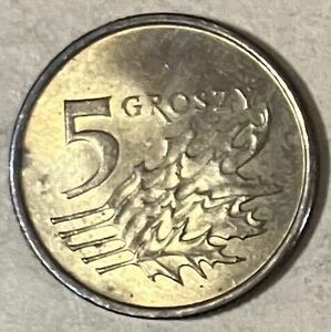 ポーランド　5グロシュ　2007年　外国コイン　アンティーク　古銭　外国銭　海外　ポーランドコイン