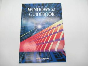 T 11-37 当時物 カタログ ウィンドウズ3.1 ガイドブック 動作機種 PC-98 PC-486GR ソフトの選び方 Q&A Windows3.1 GUIDEBOOK