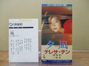 S-3449【8cm シングルCD】メロ譜あり / テレサ・テン 夕凪 ゆうなぎ / 晩秋 / 鄧麗君 TERESA TENG / TADL-7350