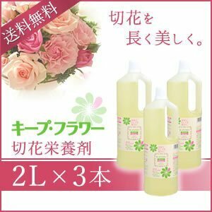 送料無料 キープ・フラワー 切花栄養剤 2L 《3本セット》