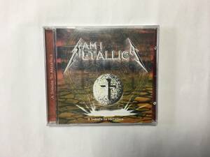 AM I METALLICA　A TRIBUTE TO METALLICA CRASH　SAHARA　NO WAY　韓国盤　新品