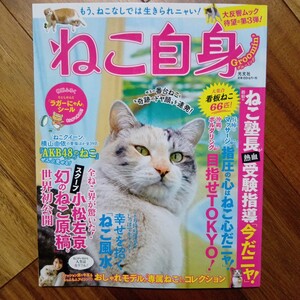 ねこ自身グルーミング 指宿のねこ塾長が熱血受験指導 「今だニャ!」管理番号132