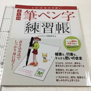 即決　未読未使用品　全国送料無料♪　大人の筆ペン字練習帳 : 1日15分の手習い　JAN- 9784901425643