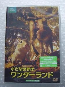 ☆新品未開封☆小さな世界はワンダーランド　TVオリジナル完全版　DVD（2枚組）☆