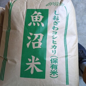 令和6年南魚沼産コシヒカリ(中米)1.80〜1.85の間 しおざわ地区 農家直送 玄米　魚沼産コシヒカリ 新潟産 お米