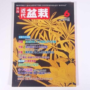 月刊 近代盆栽 No.176 1992/6 近代出版 雑誌 盆栽総合誌 園芸 ガーデニング 植物 特集・正面変更 楓の葉刈り 梅雨期の作業 さつき夢の競演